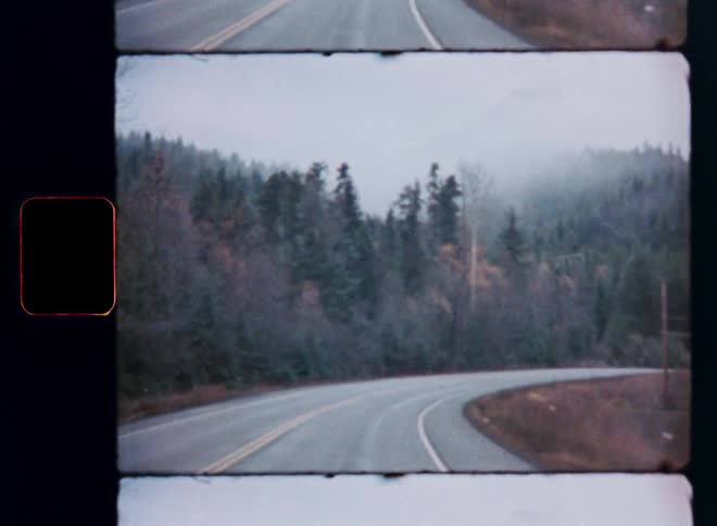 A vintage film scan shows a lonely, winding road leading into a foggy forest on a moody day