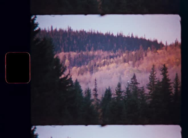 A vintage film shot captures a tranquil view of an autumn forest covering rolling hills at dusk
