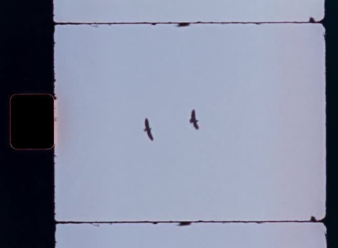 A vintage film strip shows two birds soaring high in the pale sky