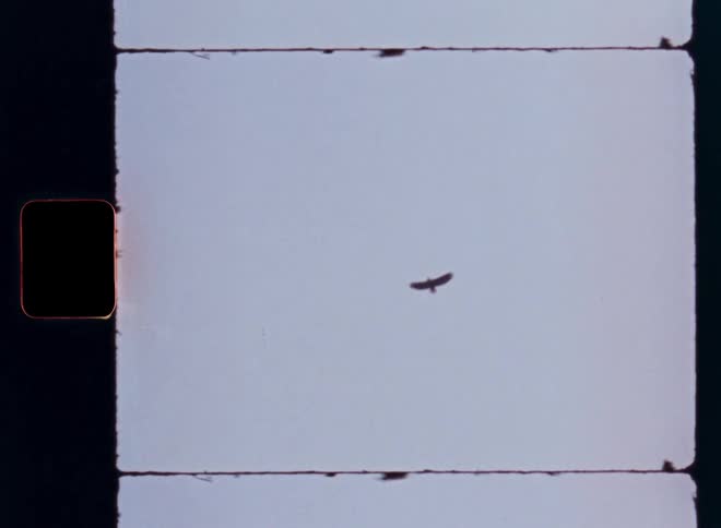 Archival 8mm film scan shows two birds of prey soaring high in the pale blue sky