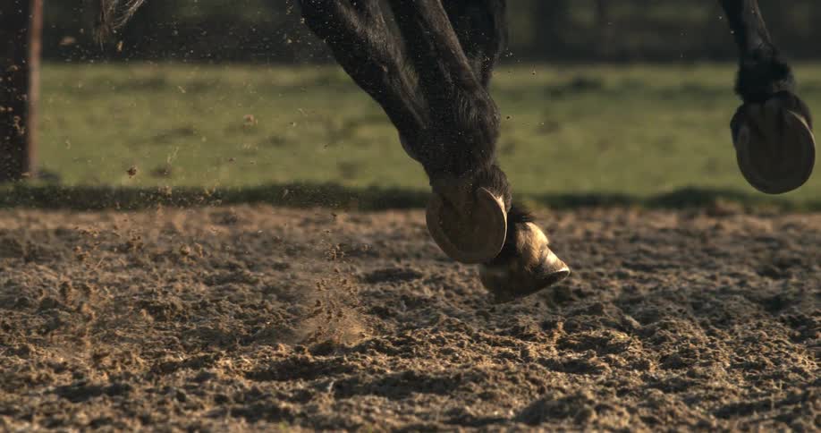 A super slow-motion close-up of a horse's hooves with horseshoes kicking up dirt as it runs through a paddock
