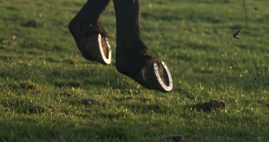 A super slow-motion close-up shows a dark horse's hooves with horseshoes running across a green grassy field