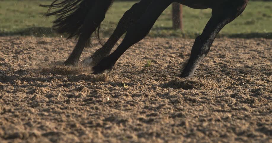 The powerful hooves of a black horse gallop across a sandy arena, kicking up dirt in dramatic super slow motion
