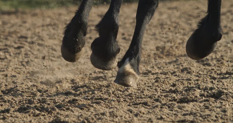 Extreme slow motion close up of a black horse's hooves galloping and kicking up sand