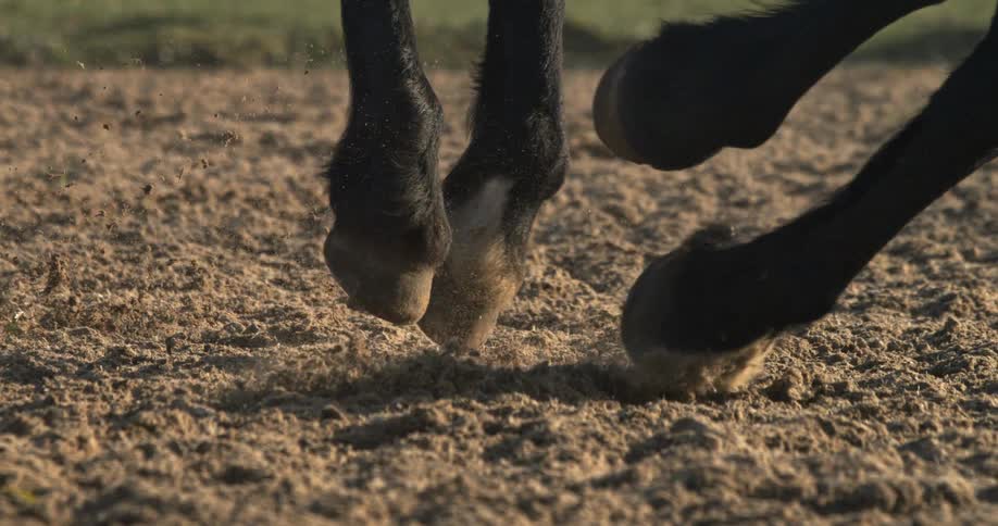 A powerful horse's hooves thunder through dirt, kicking up debris in dramatic slow motion