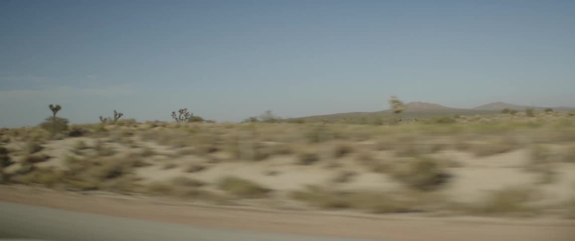 The arid landscape of the Mojave Desert, dotted with Joshua trees, speeds by in a blur from a car window view