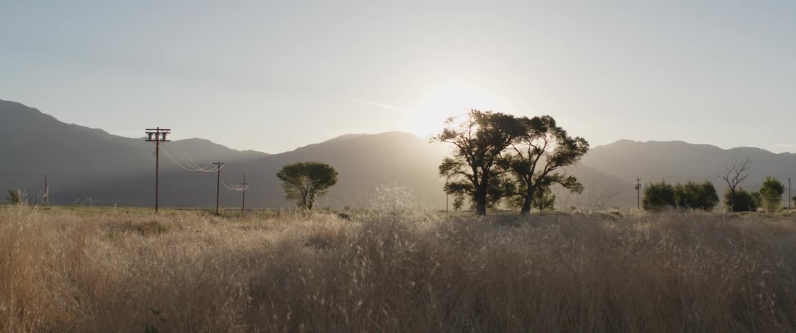 The sun rises over a tranquil mountain landscape, illuminating a golden field of tall grass in the foreground