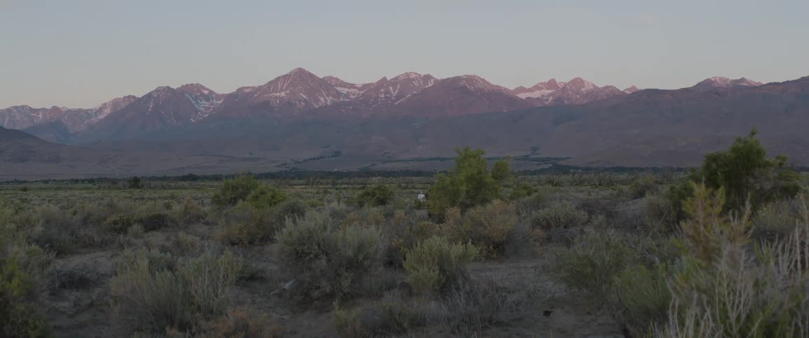 A static wide shot of the snow-capped Sierra Nevada mountain range glowing in the early morning light over a vast desert landscape