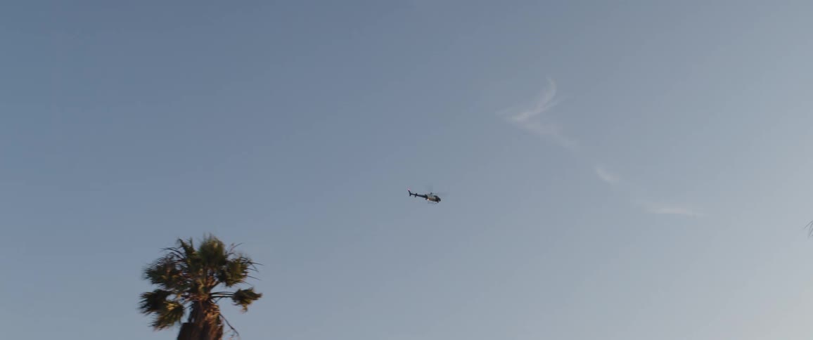 A helicopter flies slowly across a clear blue sky, passing over tall palm trees