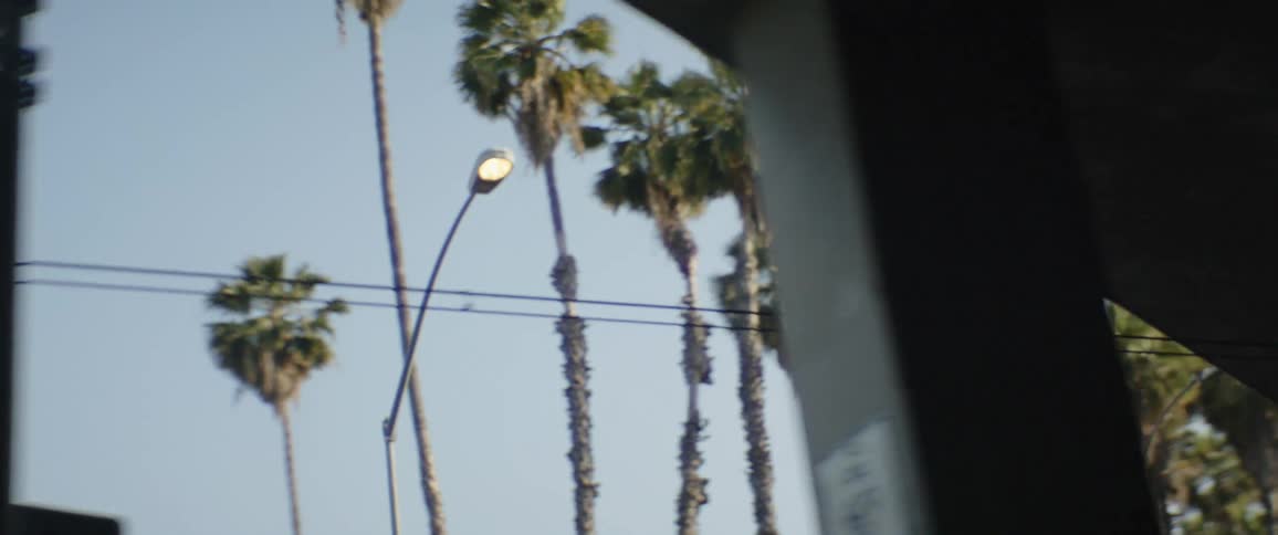 A dreamy slow-motion shot of tall palm trees passing by against a bright blue sky