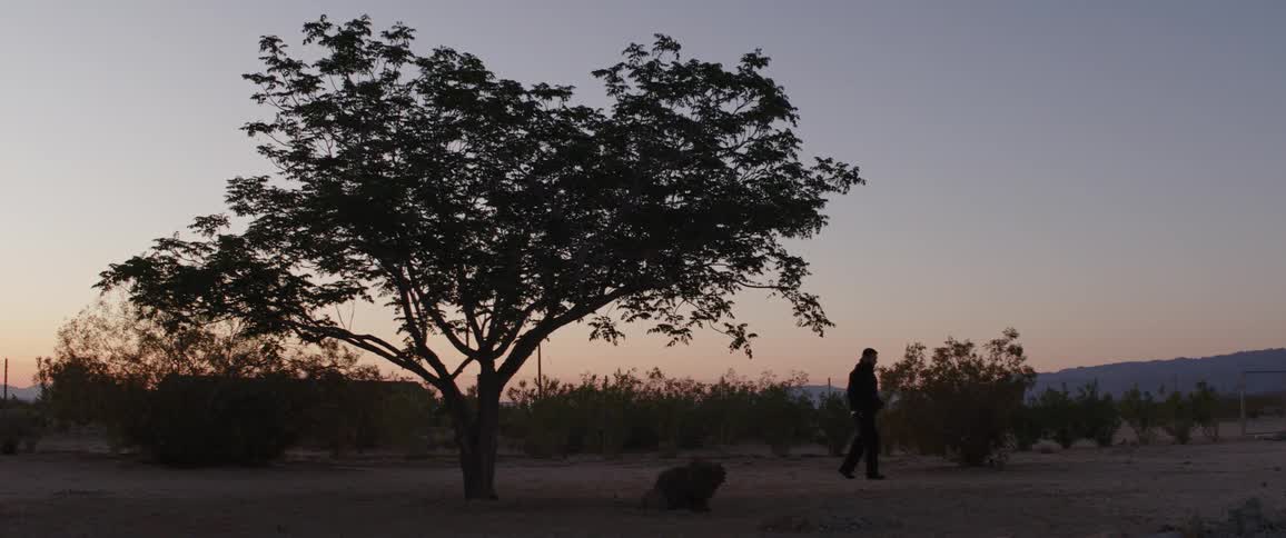 A silhouetted man walks away from a lone tree in a sparse desert landscape at twilight