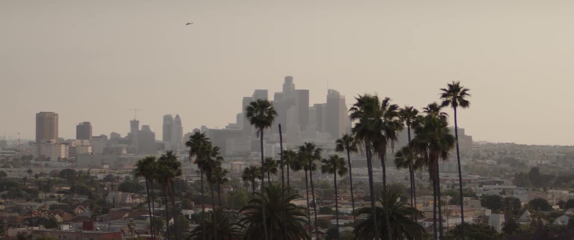 A hazy Los Angeles skyline stands behind a row of palm trees as a helicopter flies overhead
