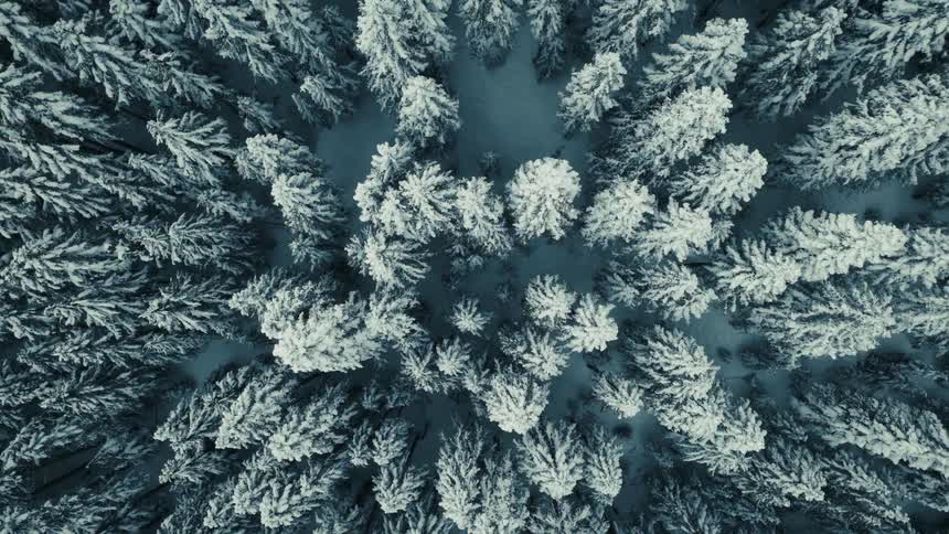 A cinematic top-down aerial view slowly rises above a vast and moody snow-covered evergreen forest
