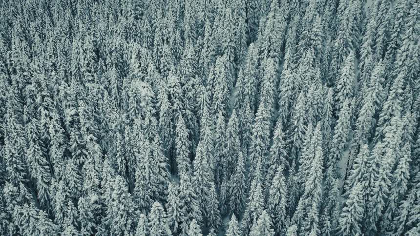 Epic aerial shot starts with a top-down view of a snow-covered evergreen forest and pulls back to reveal the vast mountain landscape