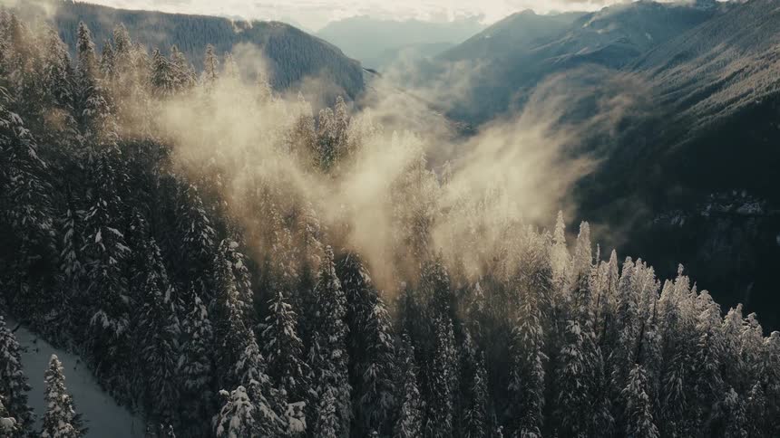 Ethereal mist rises from a snow-covered pine forest as golden sunlight shines through the trees in a mountain valley