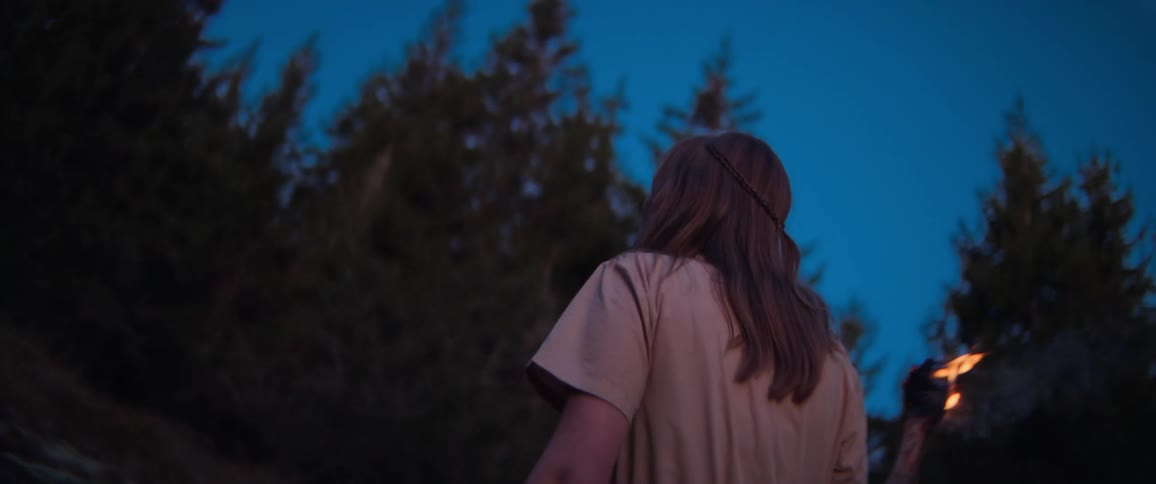 A mystical woman holding a flaming torch looks up at the twilight sky while standing in a dark, atmospheric forest