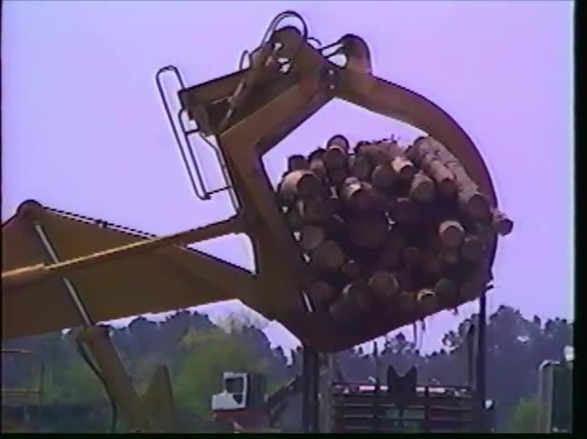 A large log loader lifts a massive bundle of timber at a lumber yard while a worker prepares a logging truck