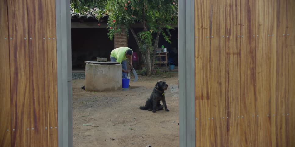 Framed by a wooden gate, a man in a rural setting sharpens his machete next to a well as his dog sits nearby