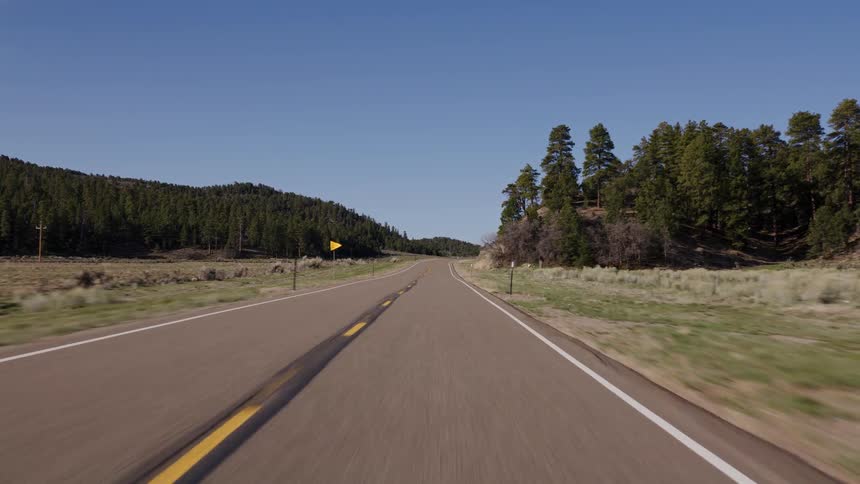 First-person perspective driving on a rural two-lane highway through a forested landscape on a clear sunny day