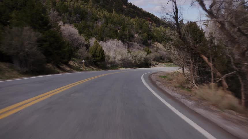 Driving POV along a winding two-lane highway through a scenic mountain forest landscape