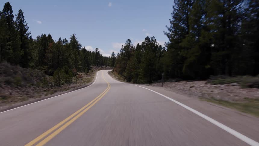 A point-of-view drive along a winding mountain road through a pine forest on a clear day