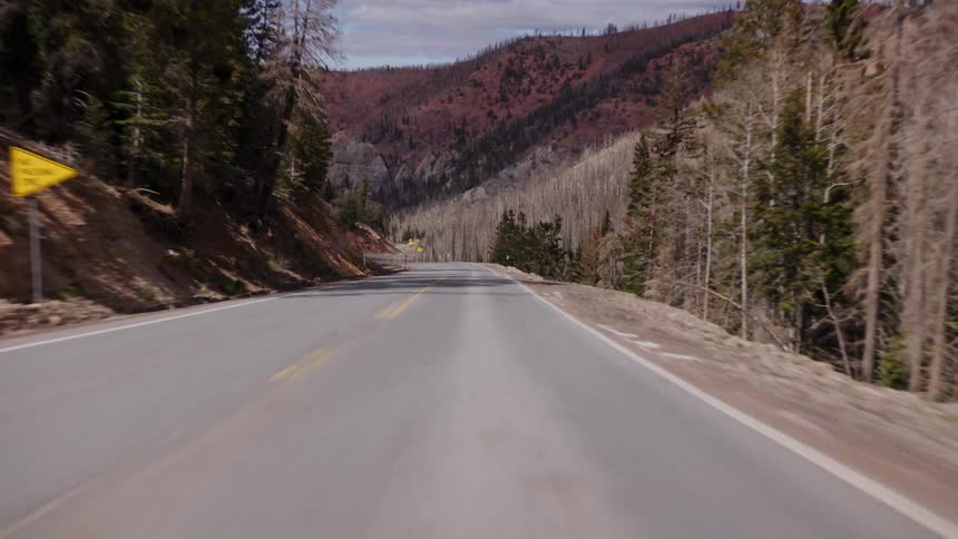 A point-of-view drive on a winding mountain road through a forest canyon