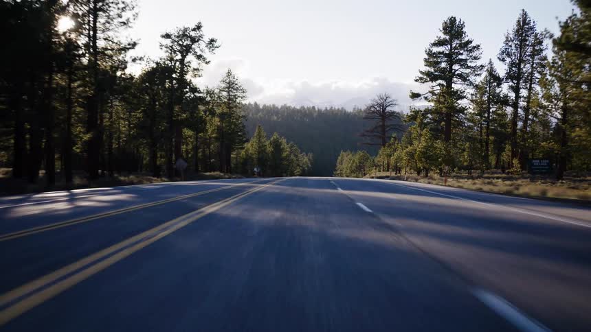 A fast-moving POV shot travels down an empty two-lane highway through a sunny pine forest