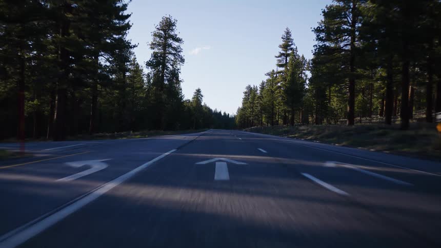 A cinematic point-of-view shot driving down an empty two-lane highway surrounded by a beautiful pine tree forest at sunrise