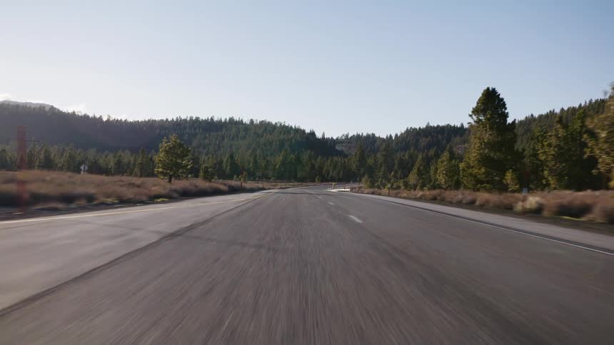 A point-of-view shot driving along an empty paved highway through a pine forest landscape on a sunny day