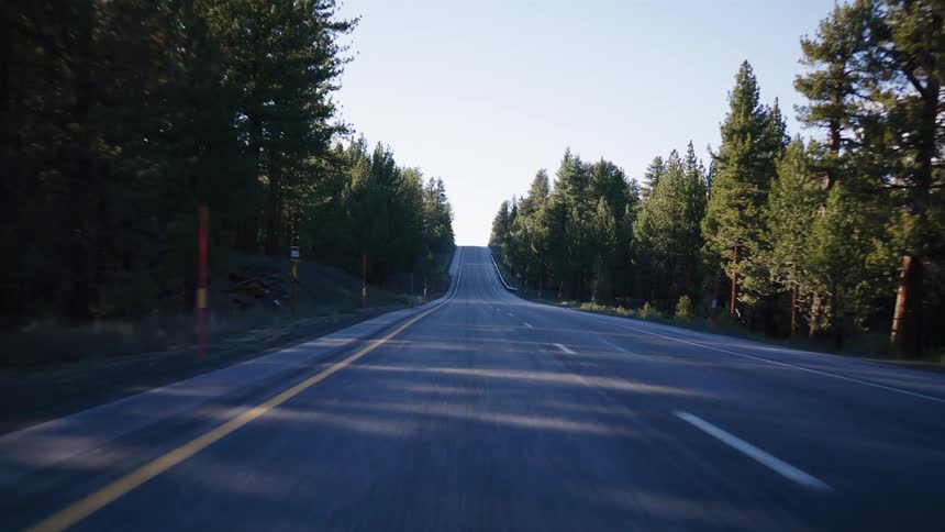 A point-of-view shot driving uphill on a scenic, empty road through a dense forest of pine trees