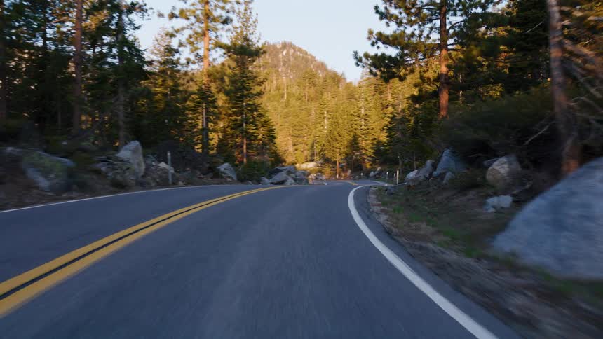 A serene point-of-view drive on a winding mountain road through a pine forest during the warm light of sunrise