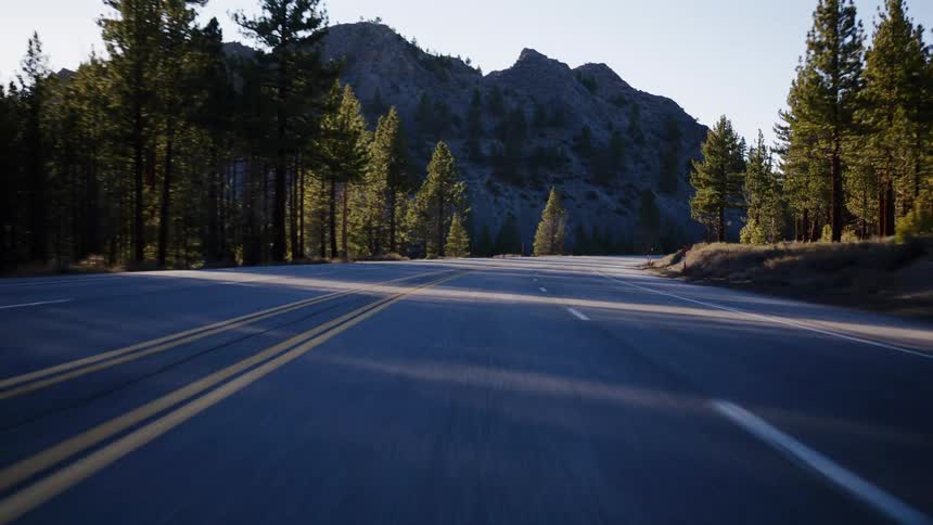 A smooth point-of-view drive along a scenic mountain highway through a pine forest during golden hour