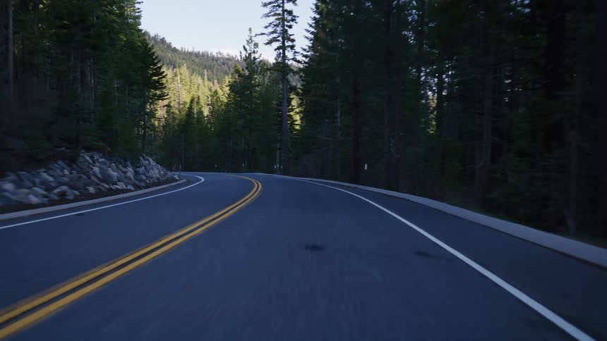 A smooth point-of-view drive on a winding asphalt road through a shadowy evergreen forest