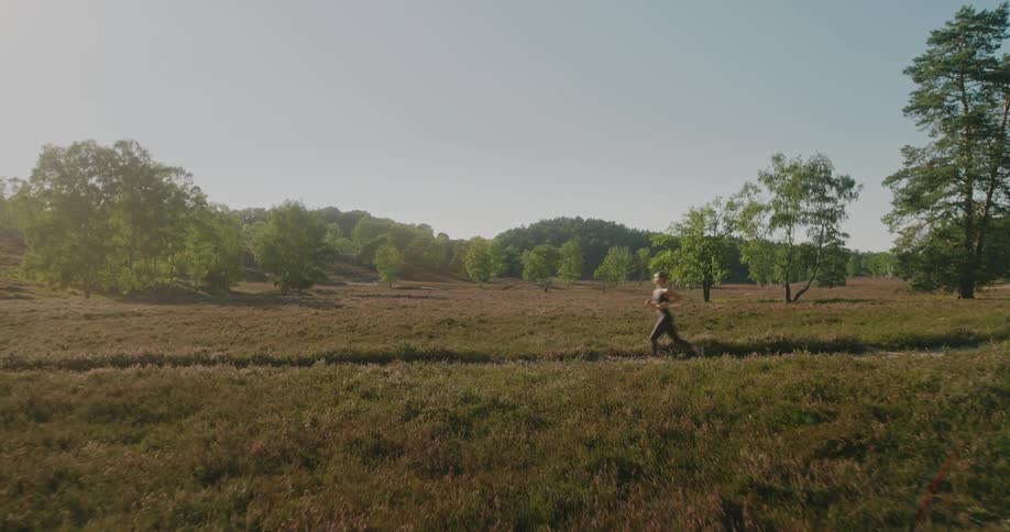 A fit woman runs on a trail through a beautiful, sunlit heathland in the early morning