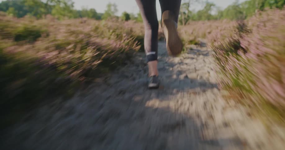 Dynamic low-angle follow shot of a person's legs while trail running on a sandy path through a field of purple heather