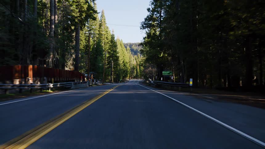 A point-of-view shot driving down a scenic road through a dense forest of tall evergreen trees on a sunny day