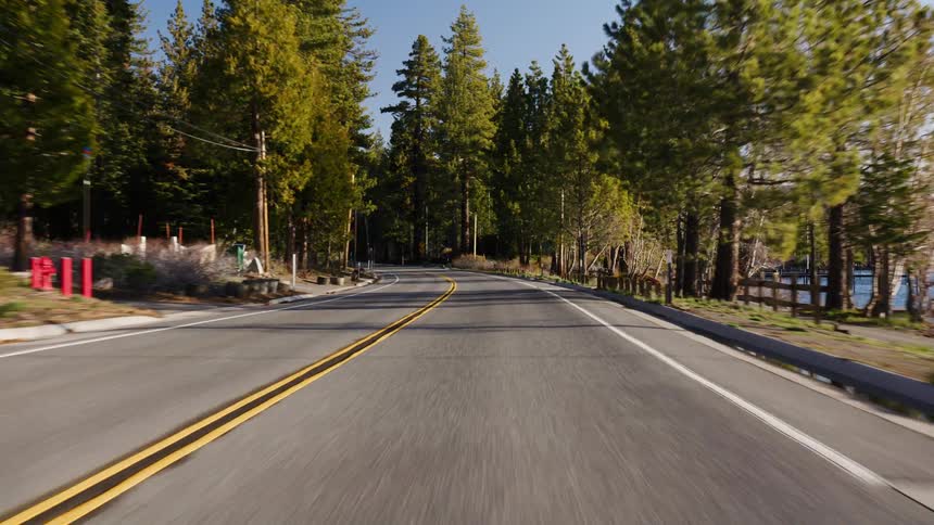 A scenic POV drive along a winding lakeside road through a sunlit pine forest