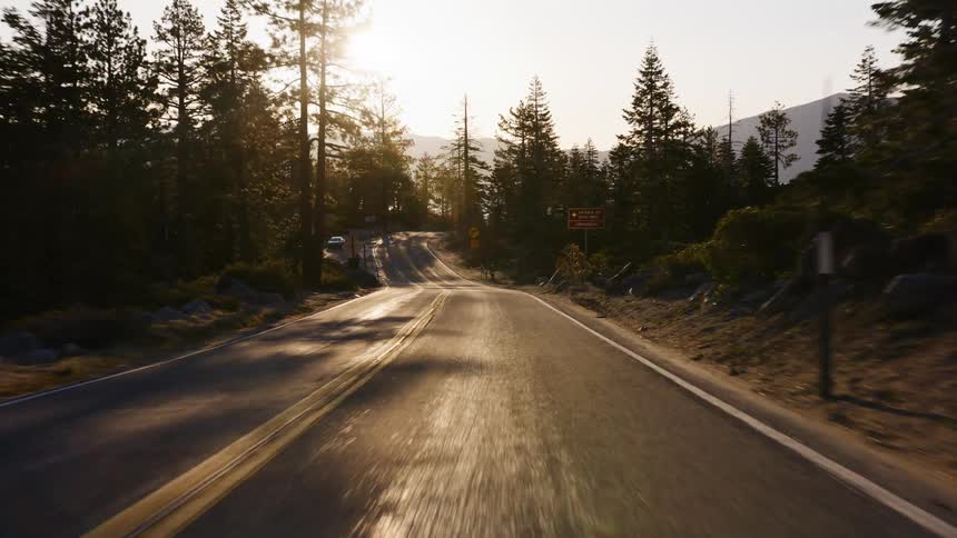 Point-of-view driving down a winding mountain road through a forest of pine trees during a golden sunset