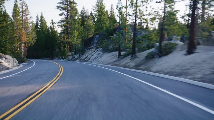 Point-of-view shot driving along a winding mountain road through a pine forest during golden hour