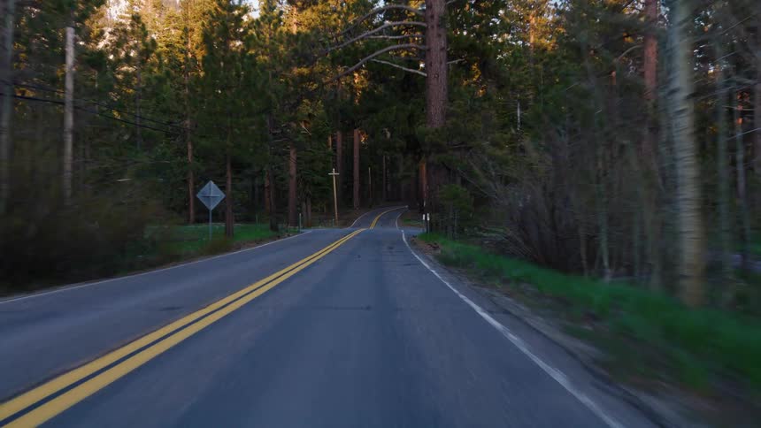 A smooth point-of-view drive along a curving, empty road through a tranquil forest during golden hour