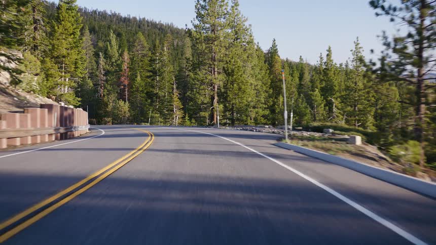 A smooth point-of-view drive on a winding paved road through a dense evergreen forest on a sunny day