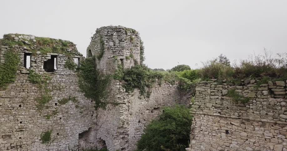 Shrubs and overgrowth cover an abandoned stone building