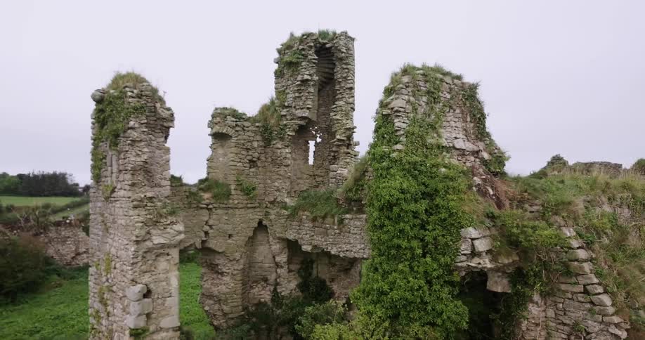 Overgrown castle ruins
