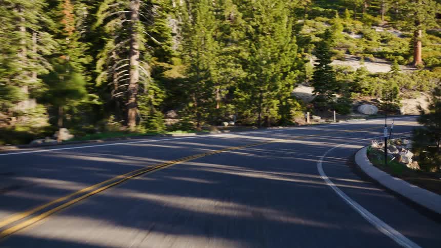 A serene point-of-view drive along a winding two-lane mountain road through a dense evergreen forest