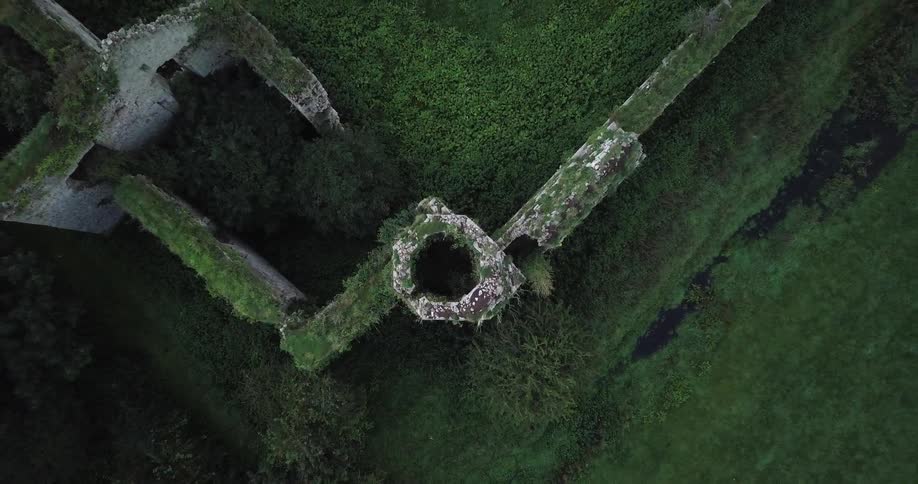 An abandoned building with no roof is covered with moss and foliage