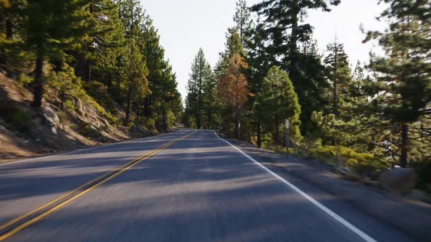 A scenic point-of-view drive along a winding mountain road surrounded by tall pine trees and dappled sunlight