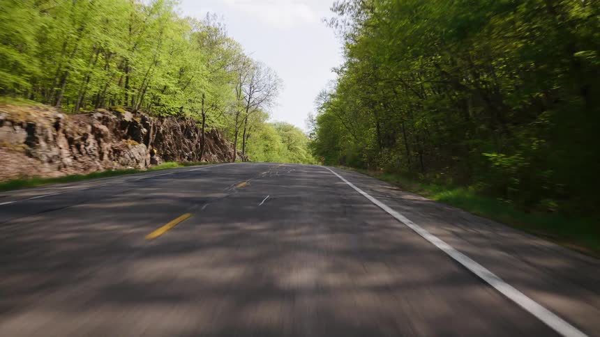 A point-of-view driving experience along a winding asphalt road through a sunlit green forest in the countryside