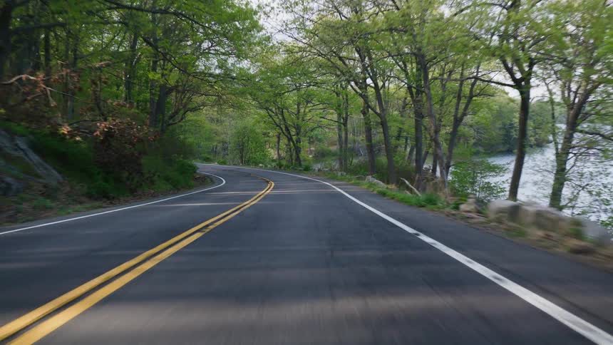 A point-of-view drive on a winding road through a lush green forest alongside a serene lake during springtime