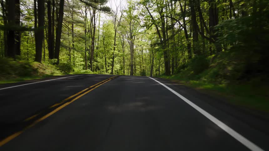 Driving down a scenic two-lane country road through a lush, green forest on a bright, sunny day