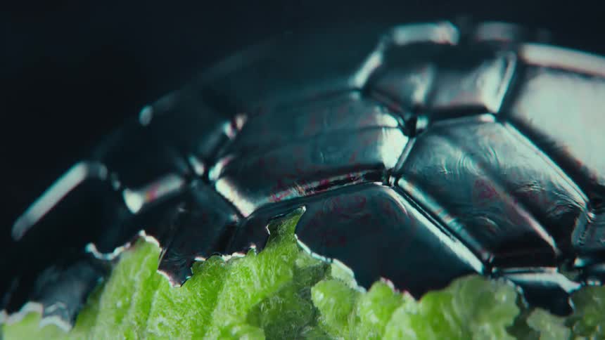 A dark, textured soccer ball with an iridescent sheen slowly emerges from a fractured, bright green crystalline substance